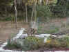 Pa220006.jpg (204557 bytes)
