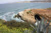 SanDiego 115.JPG (530073 bytes)